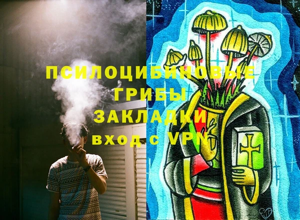 спайс Богданович